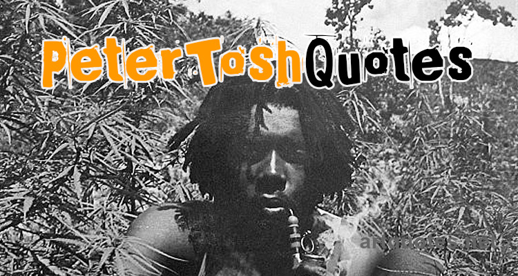 Famous Peter Tosh Quotes